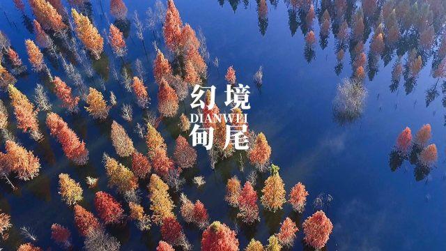 救援受困的小恐龙