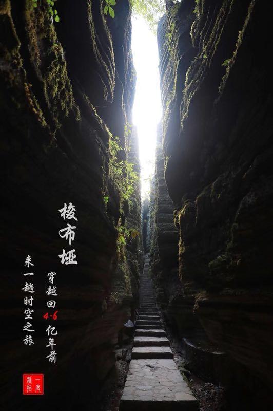 坦克出行