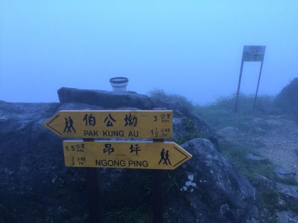 吃鸡还是不吃鸡，这是个问题，回看30年代红25军关于“鸡”的故事