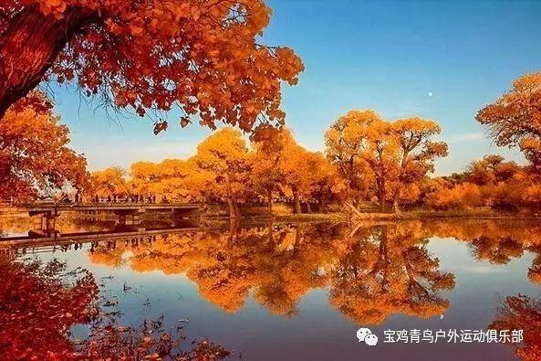 已经有小学语文教师资格证，我想再考一个小学美术的教师资格证，想请问一下还需要在报名笔试吗？游戏画面