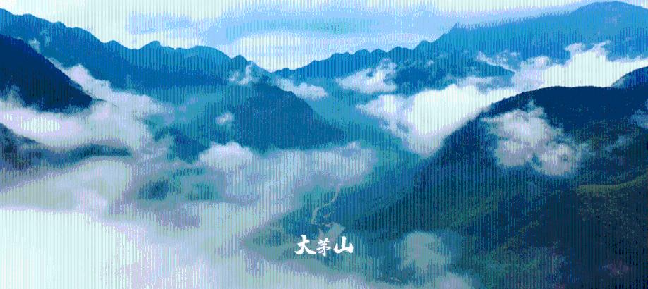 “两会”时刻·直通现场：政协醴陵市第十五届委员会第四次会议展开联组协商