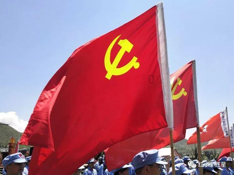 迷雾求生