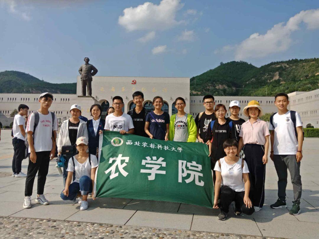 男朋友的姐姐送包包给我，我应该送什么给他姐姐比较合适？游戏画面