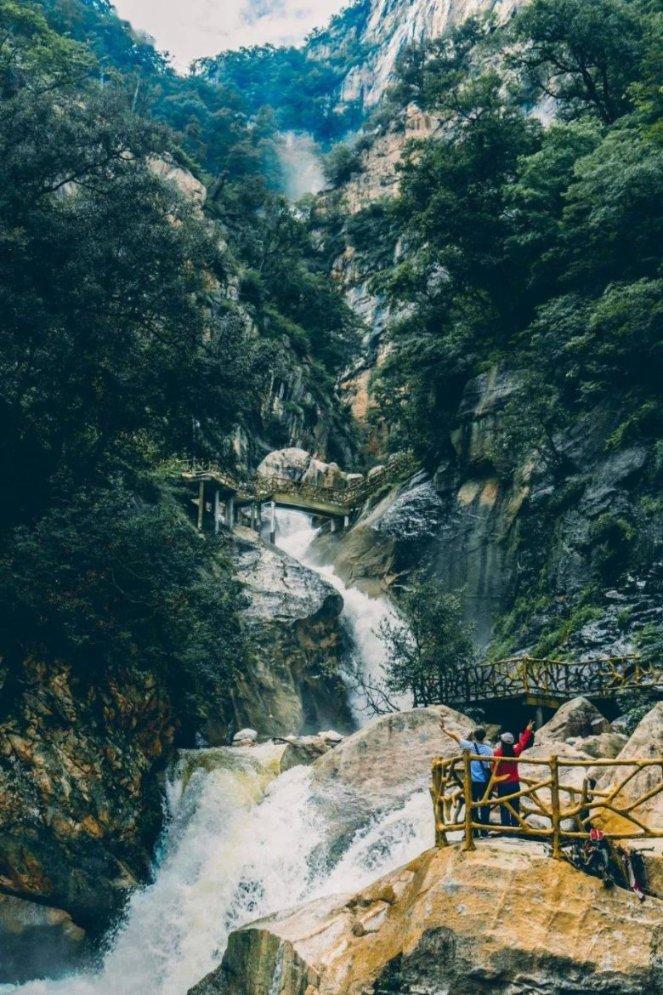 救援可爱的小丑