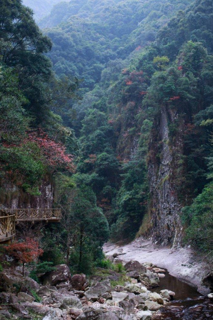 《狂飙》强哥并不厉害，他靠大嫂陈书婷起家的？游戏画面