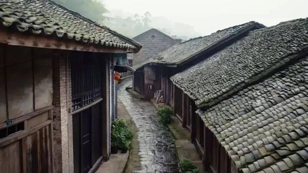 逗小猴开心系列165