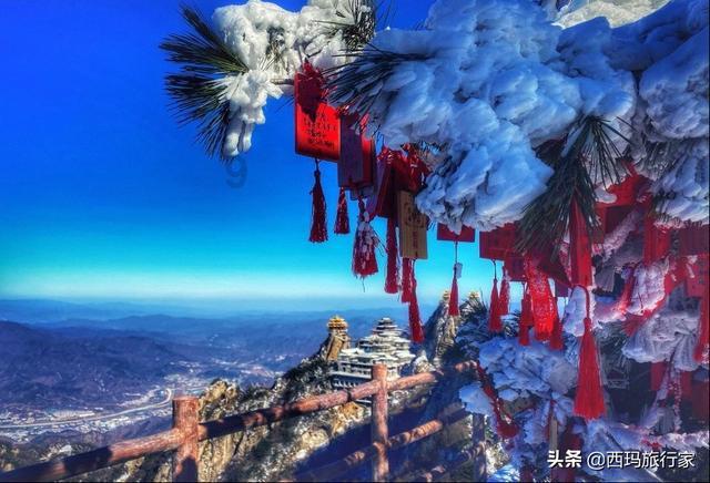 东汉末年辈分最高的皇族,人称“救世主”,却意外被刺客杀死