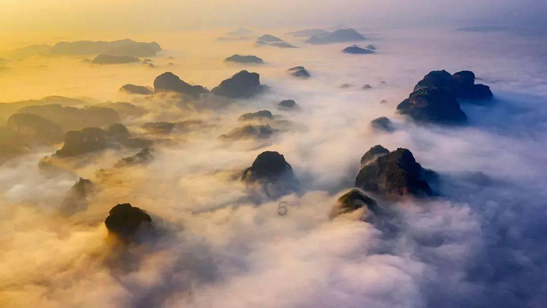 随着电动汽车的普及，燃油车真的会退出中国市场吗？为什么？游戏画面